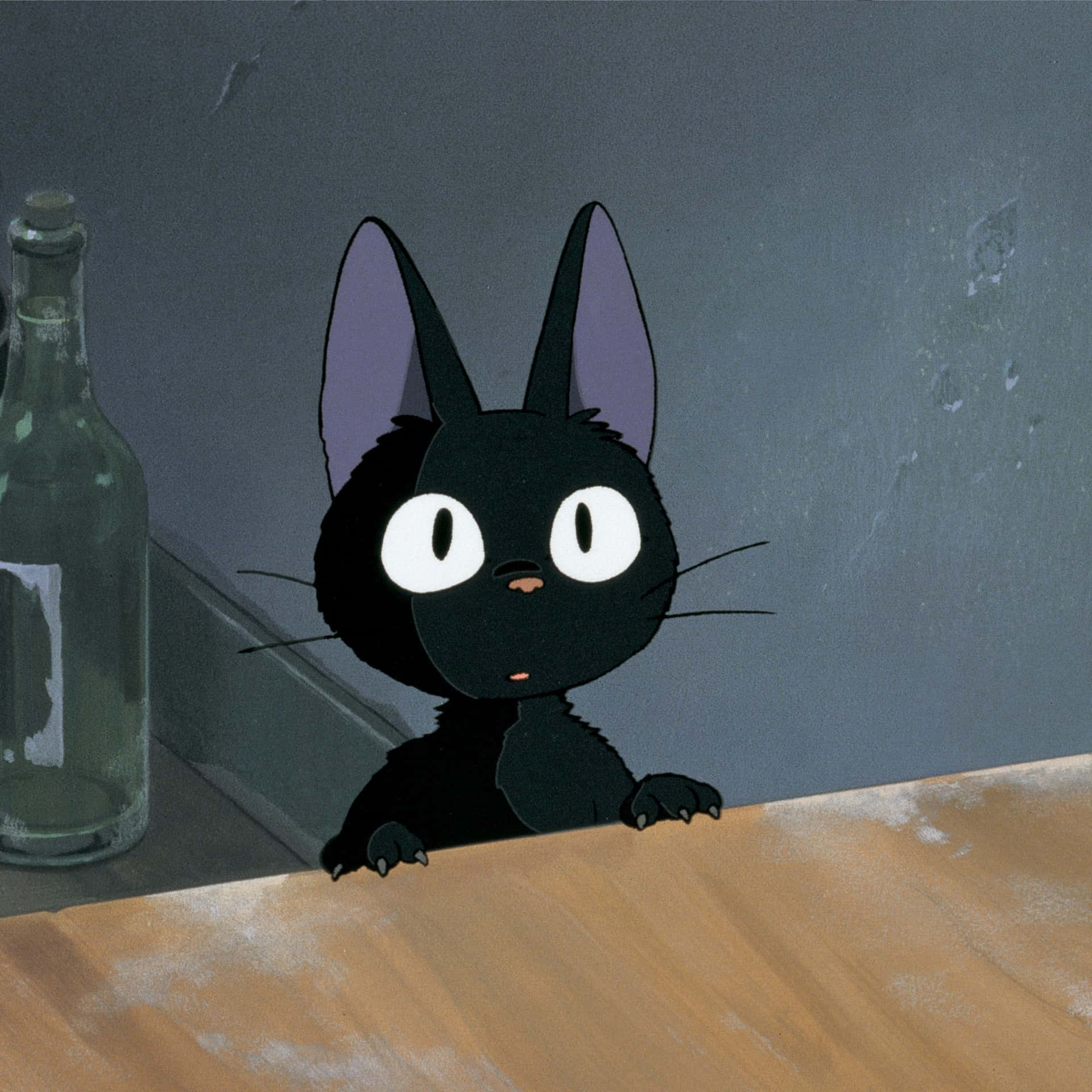 Jiji the cat